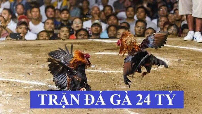 Thomo là nơi diễn ra trận đá gà 24 tỷ