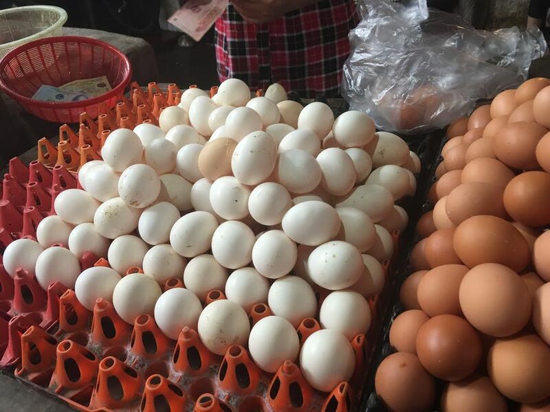 Sản lượng trứng thực tế năng suất hơn các giống gà khác