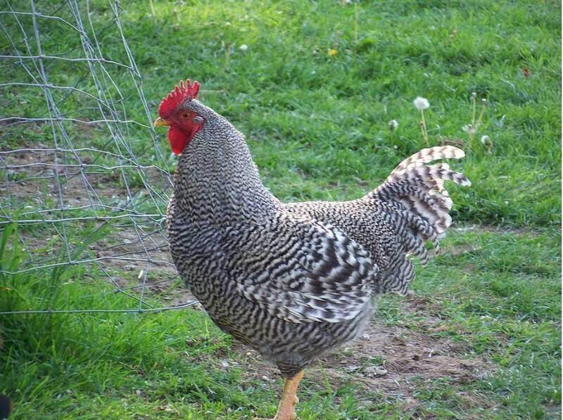 Những giá trị mà chúng mang lại về mặt kinh tế