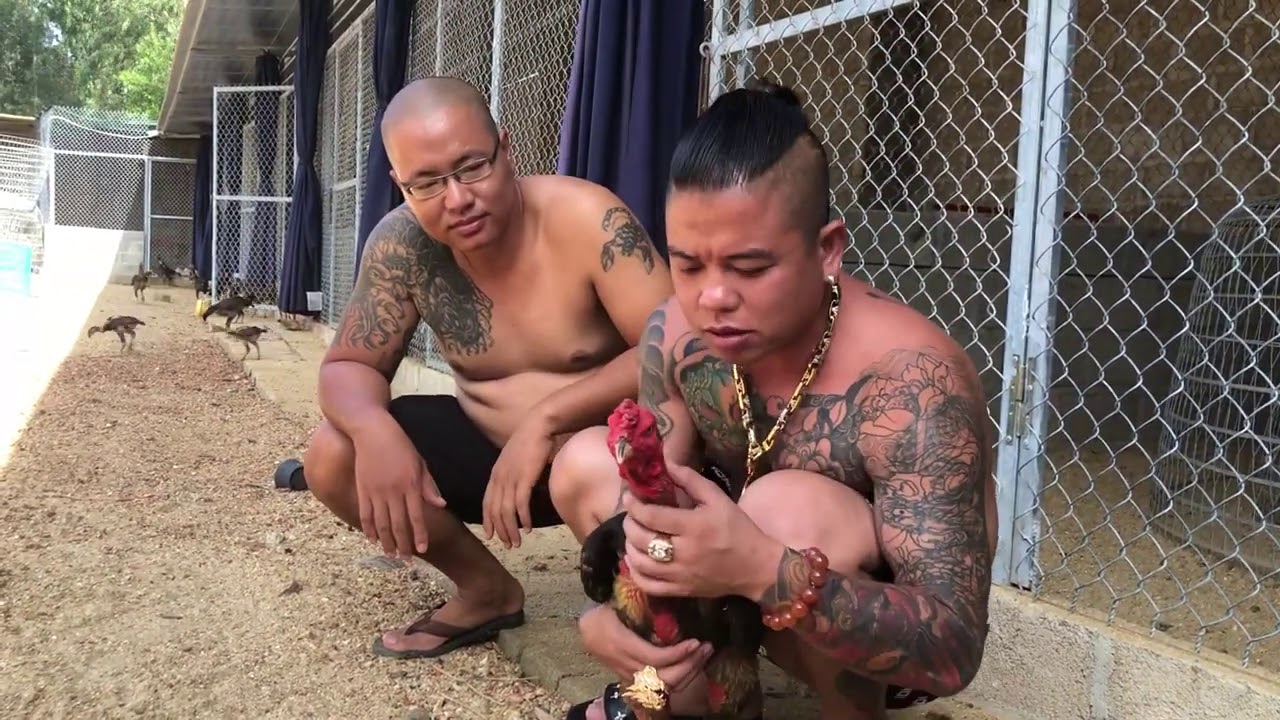 Nhà sáng lập kiêm Tác giả CEO Dương Minh Tuyền 1 Đôi nét về người sáng lập trang muadangachoi.com - Dương Minh Tuyền