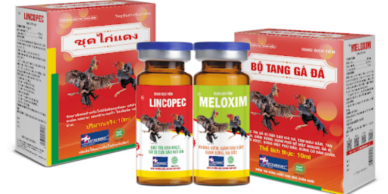 Dùng thuốc tăng bo cho gà đá giúp gà mạnh và cơ bắp hơn 