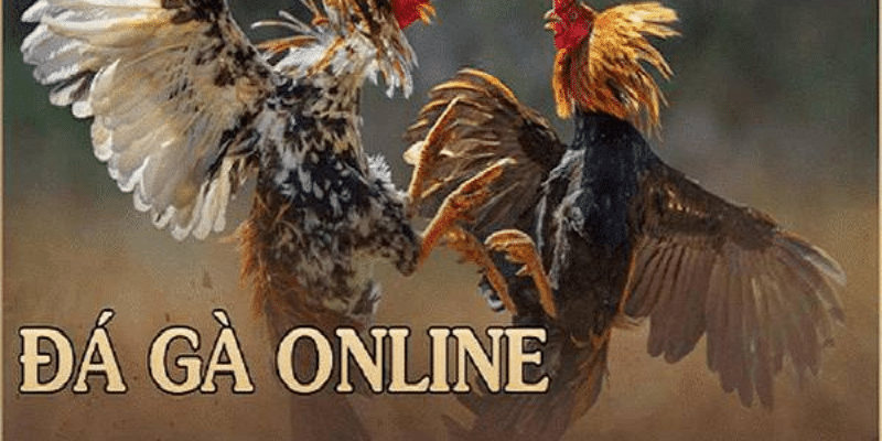 Game đá gà online 