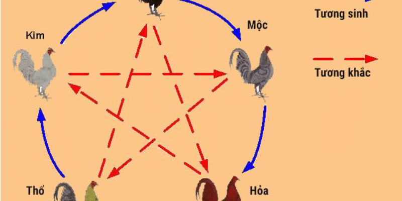 Cách xem ngày đá gà chính xác cho anh em sư kê 2 Xem ngày đá gà chuẩn chỉnh theo mùa