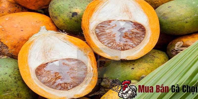 rượu cau là gì và công dụng của rượu cau