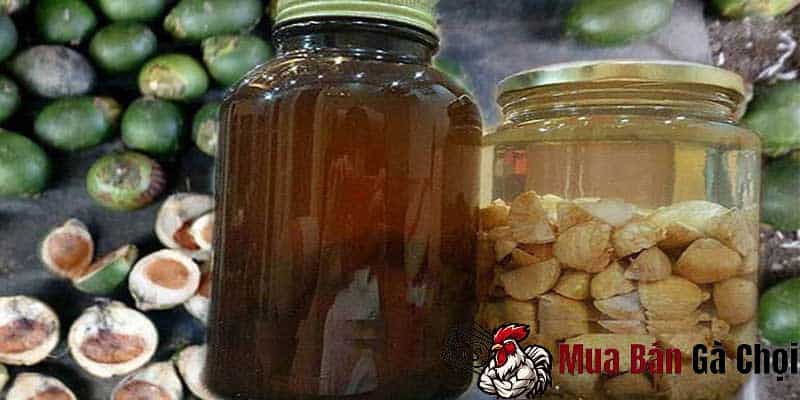 Tác dụng sử dụng rượu cau cho gà chọi