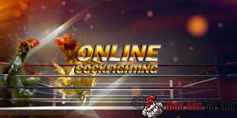 Cách tham gia app đá gà online