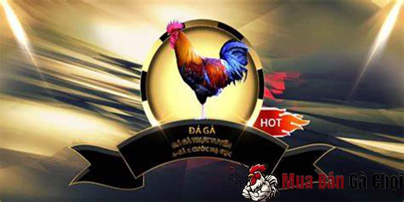 Các rủi ro khi chơi app đá gà online