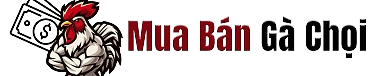 Mua Bán Gà Chọi